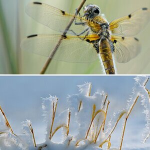 Naturfotografie