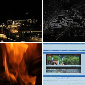 365 Tage 365 Bilder