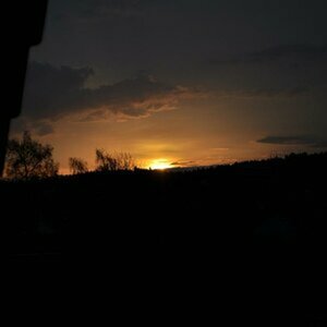 Natur Bilder