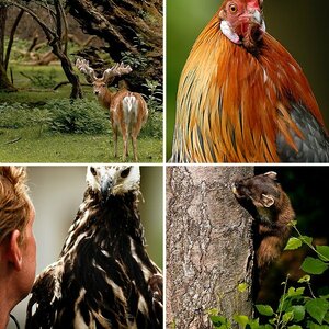 Natur & Tiere