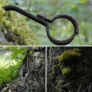 Bunkerwald