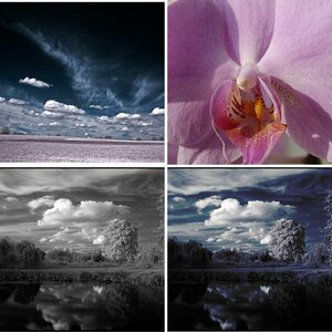Testalbum