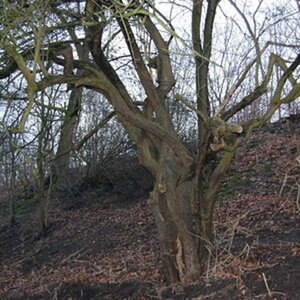 Meine Bilder