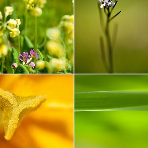 Natur