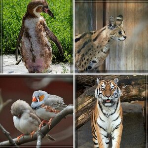 Tierpark Berlin-Friedrichsfelde