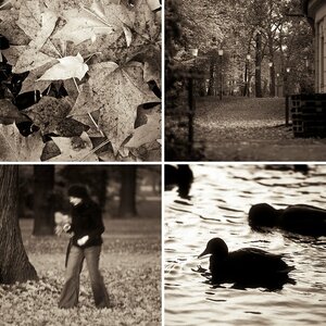 Herbstimpressionen aus Dresden