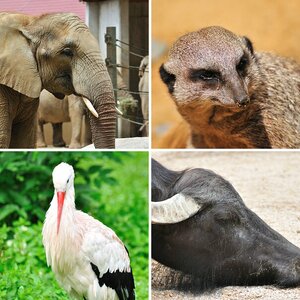 Zoo Augsburg