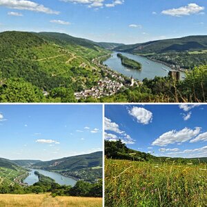 Sommer