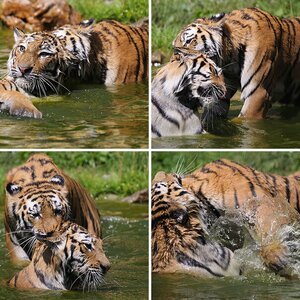 Tierpark Schönbrunn