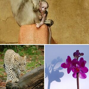 Gemischtes
