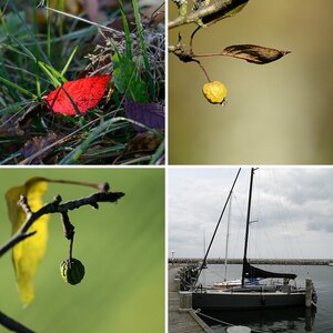 Diverses
