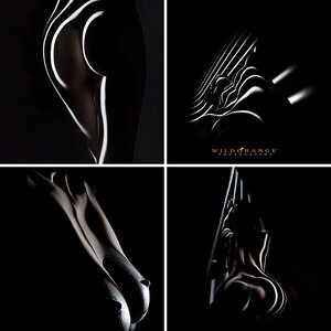 Bodylights