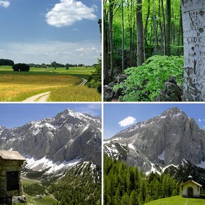 Natur u. Landschaft IV