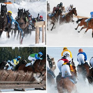 Pferderennen im Schnee
