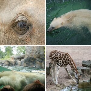 Zoo Hannover