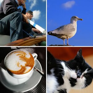 Bilderauswahl mit Sigma AF 24-70/2.8 EX DG Macro
