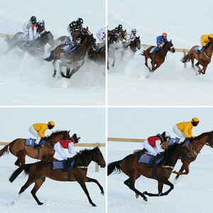 Pferderennen auf Schnee - Arosa 2009