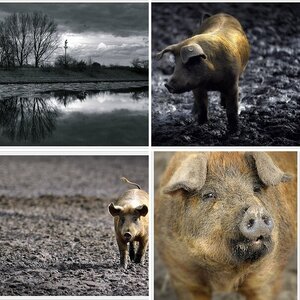 Diverses 8