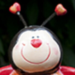 Benutzerbild