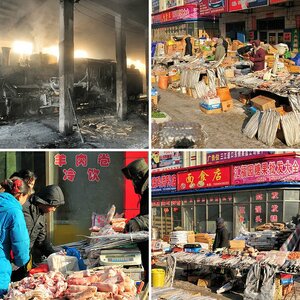 China 2010