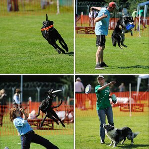 Messe Hund & Familie · o5. September 2o1o.