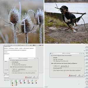 Beispielbilder
