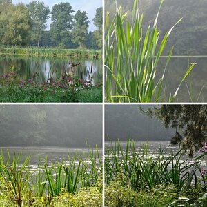 Herbst 2010