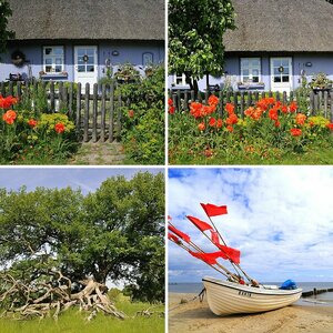 Usedom