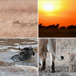 Masei Mara 3