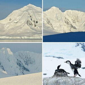 Antarctica