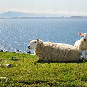 Schottland
