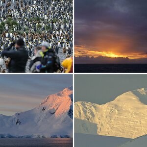 Antarctica II