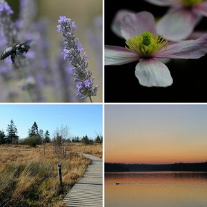 Natur