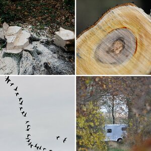 Herbst 2010