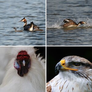 erste Bilder