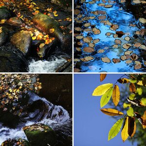 Herbstlicht
