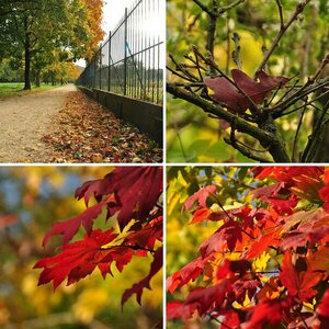Herbst