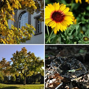 Herbst