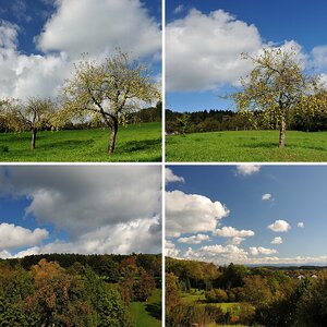 Bodenseeregion 2