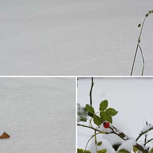 früher Wintereinbruch
