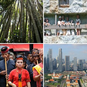 Sulawesi / Singapur