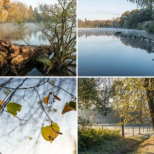 Morgenspaziergang am See