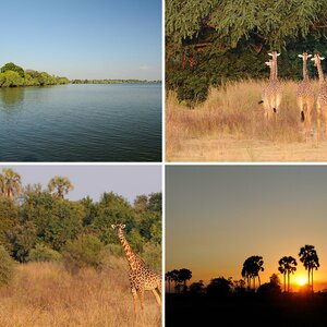 Sambia