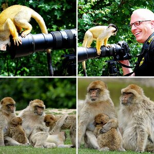 Affen- und Vogelpark Reichshof-Eckenhagen