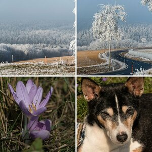 Schurls Bilder
