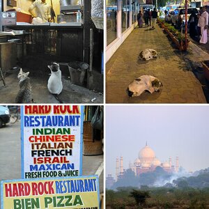 Incred!ble India IV