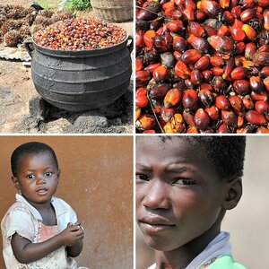 Ghana 2012