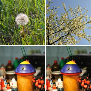 Weitere Objektiv-Beispiel-Bilder