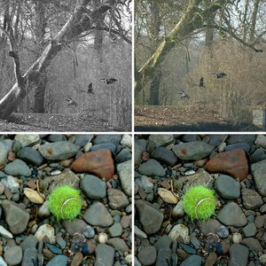 Erste Bilder