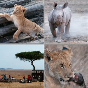 Masai Mara 5